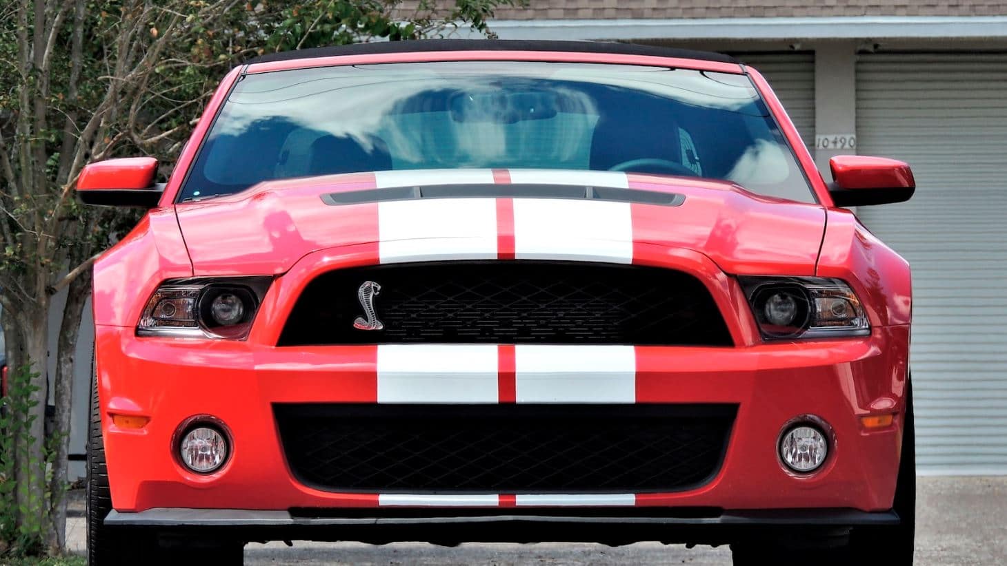 2010 FORD SHELBY GT500 CONVERTIBLE