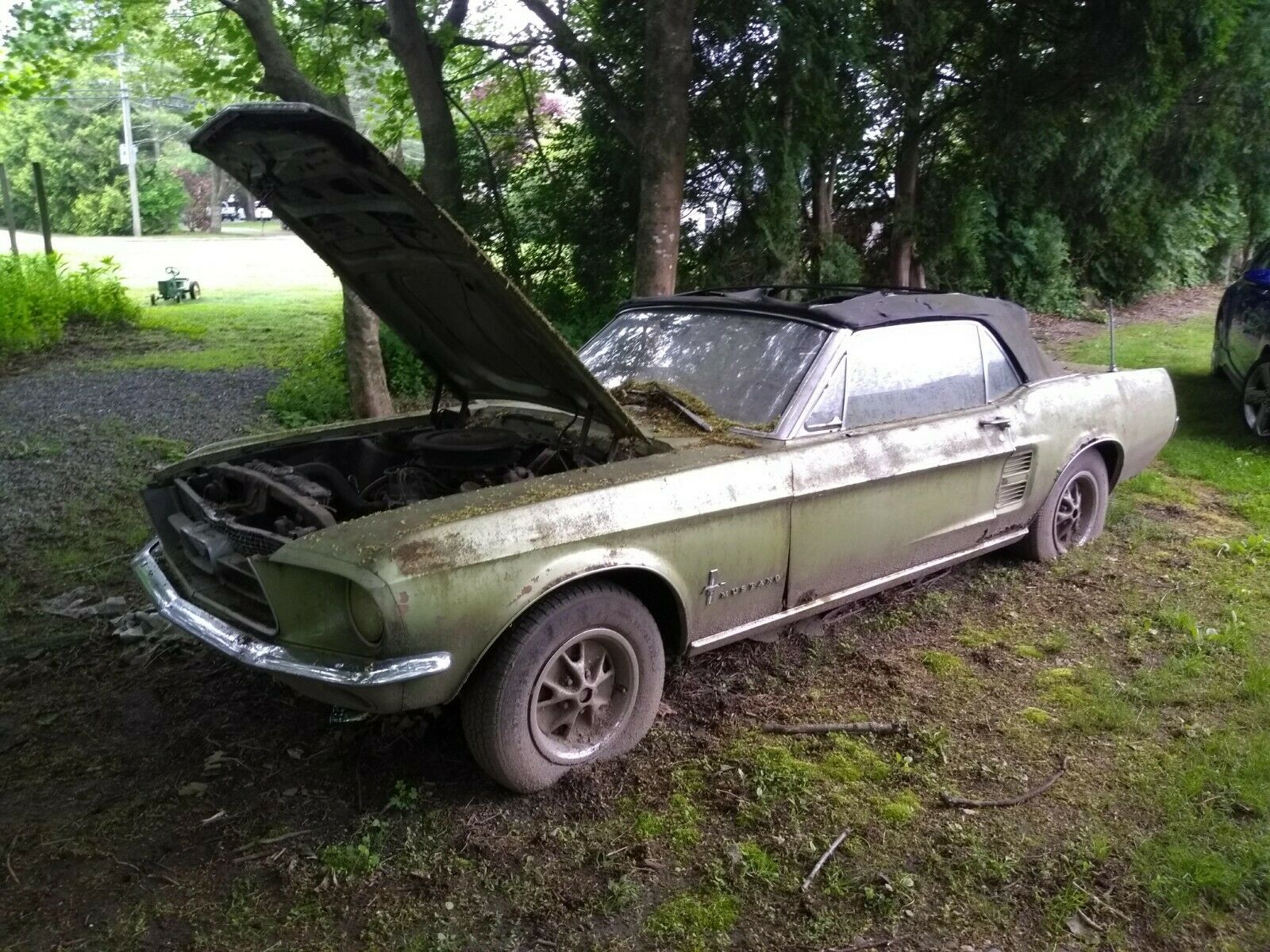 1967 Ford Mustang Convertible 1967 Ford Mustang Convertible
