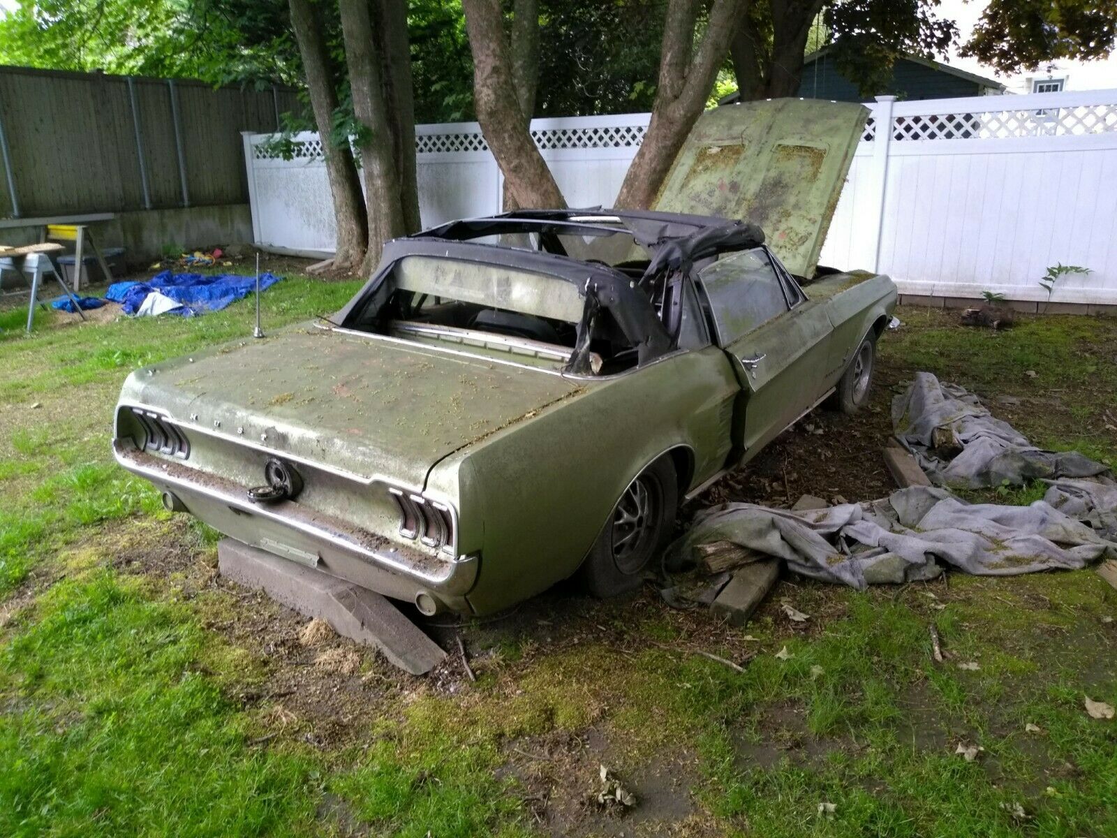 1967 Ford Mustang Convertible 1967 Ford Mustang Convertible