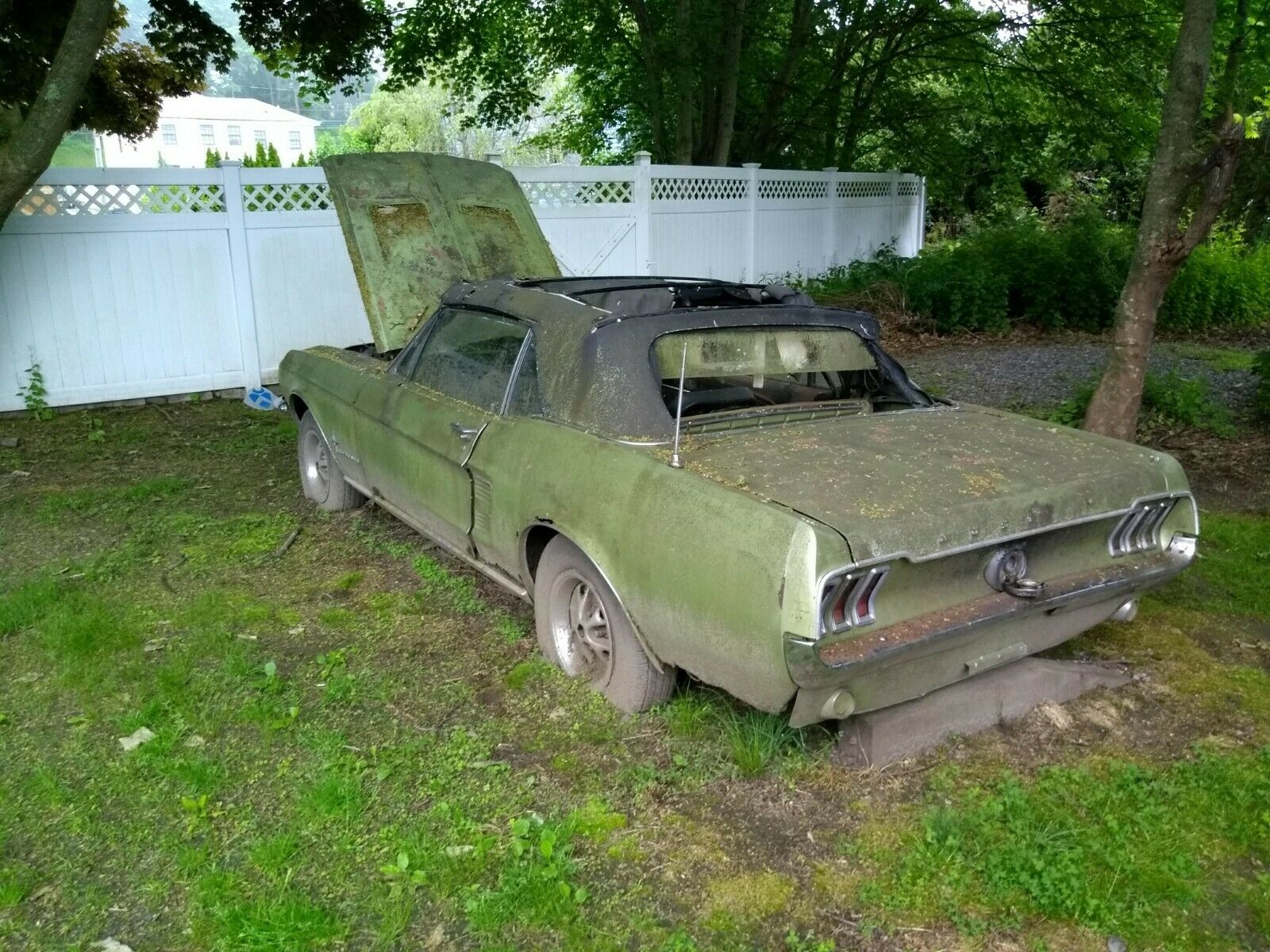 1967 Ford Mustang Convertible 1967 Ford Mustang Convertible