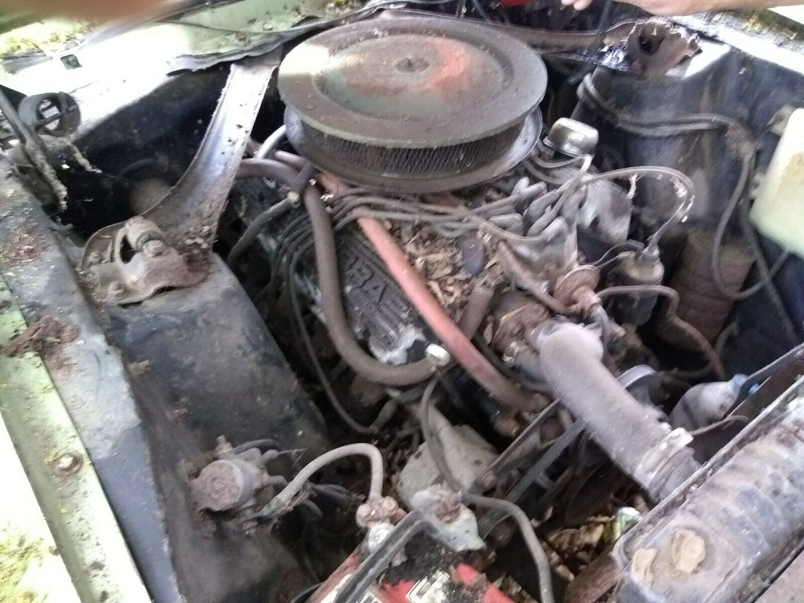 1967 Ford Mustang Convertible