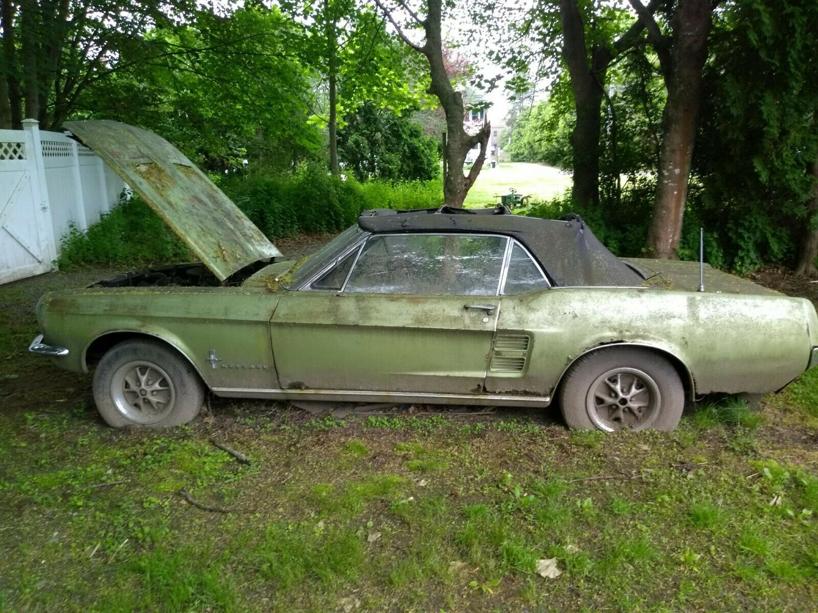 1967 Ford Mustang Convertible 1967 Ford Mustang Convertible