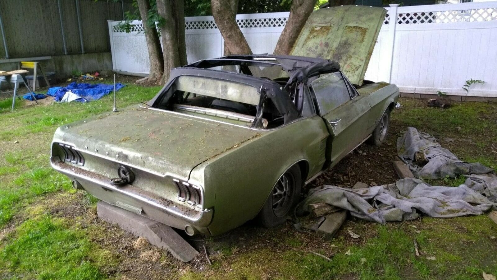 Mustang Convertible 1967 : Abandonnée depuis 20 ans ...