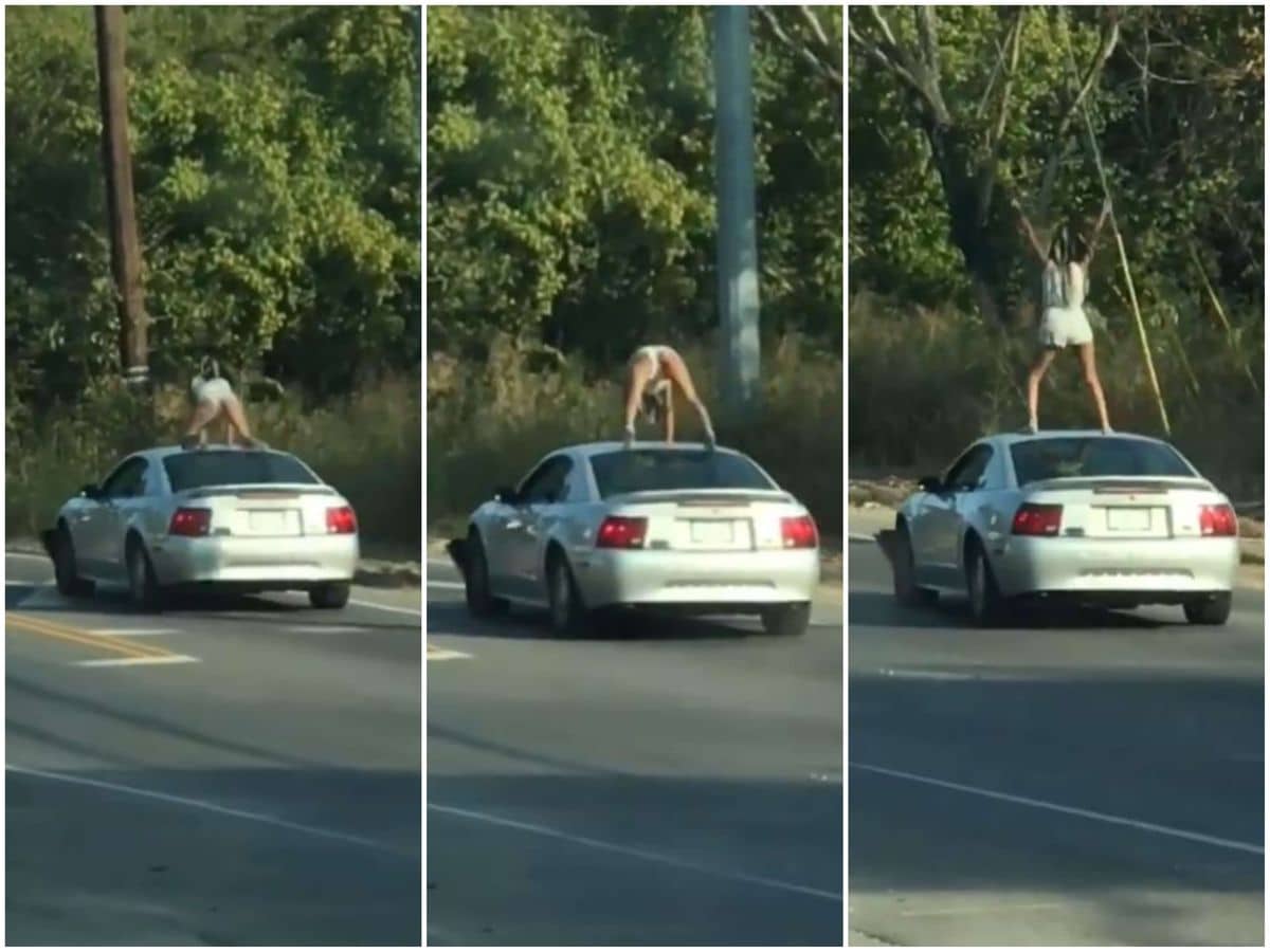 Mustang Car Surfing