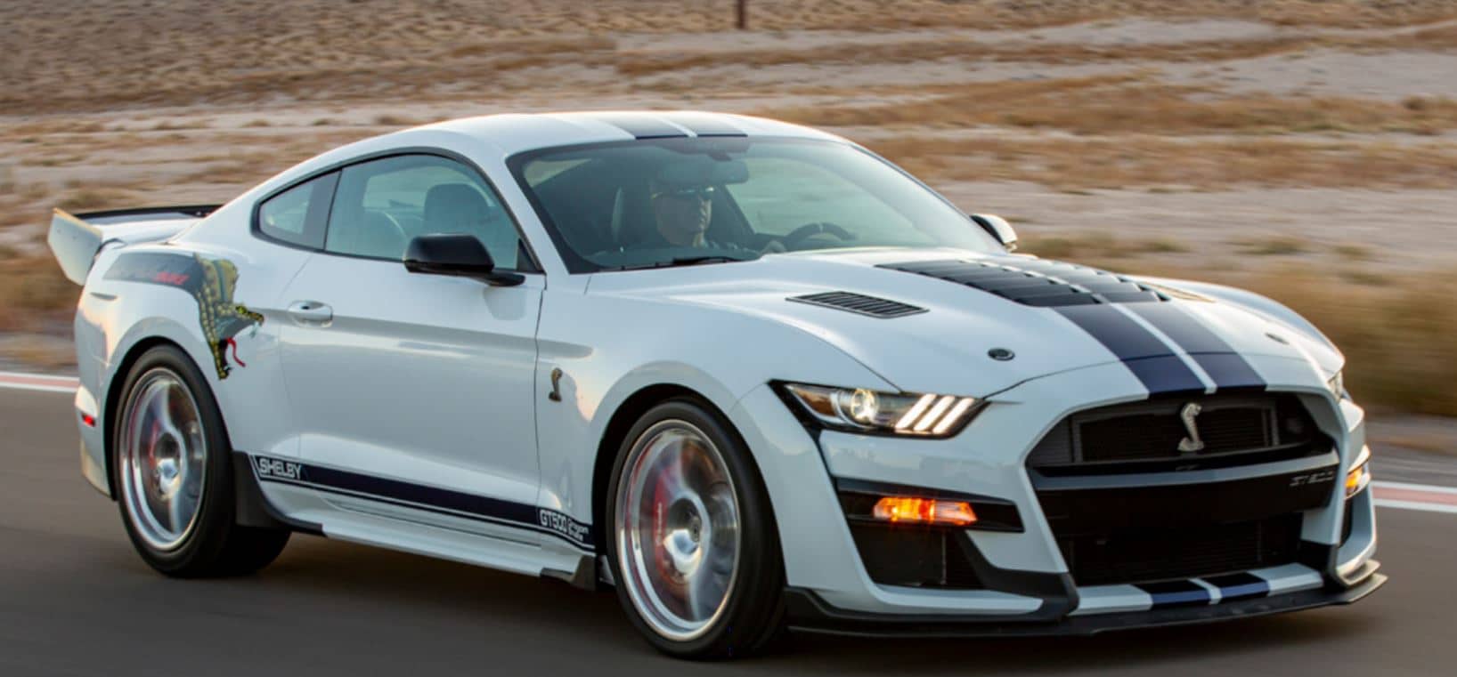 2020 SHELBY GT500 DRAGON SNAKE CONCEPT