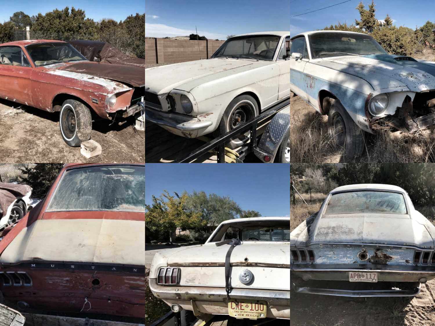 1966 Ford Mustang eBay