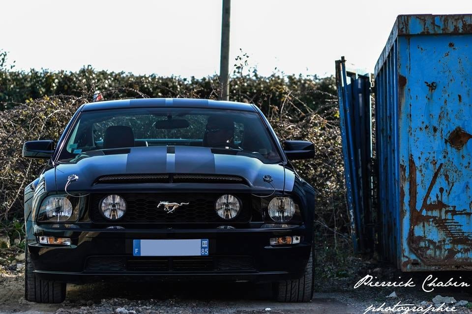 Mustang GT - French Muscle