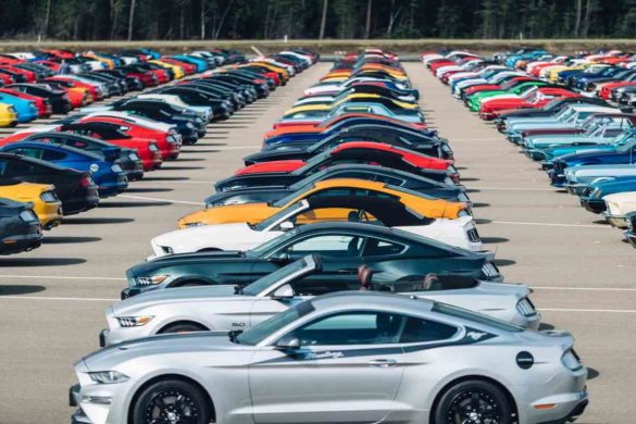 Ford Mustang 1001 Parade