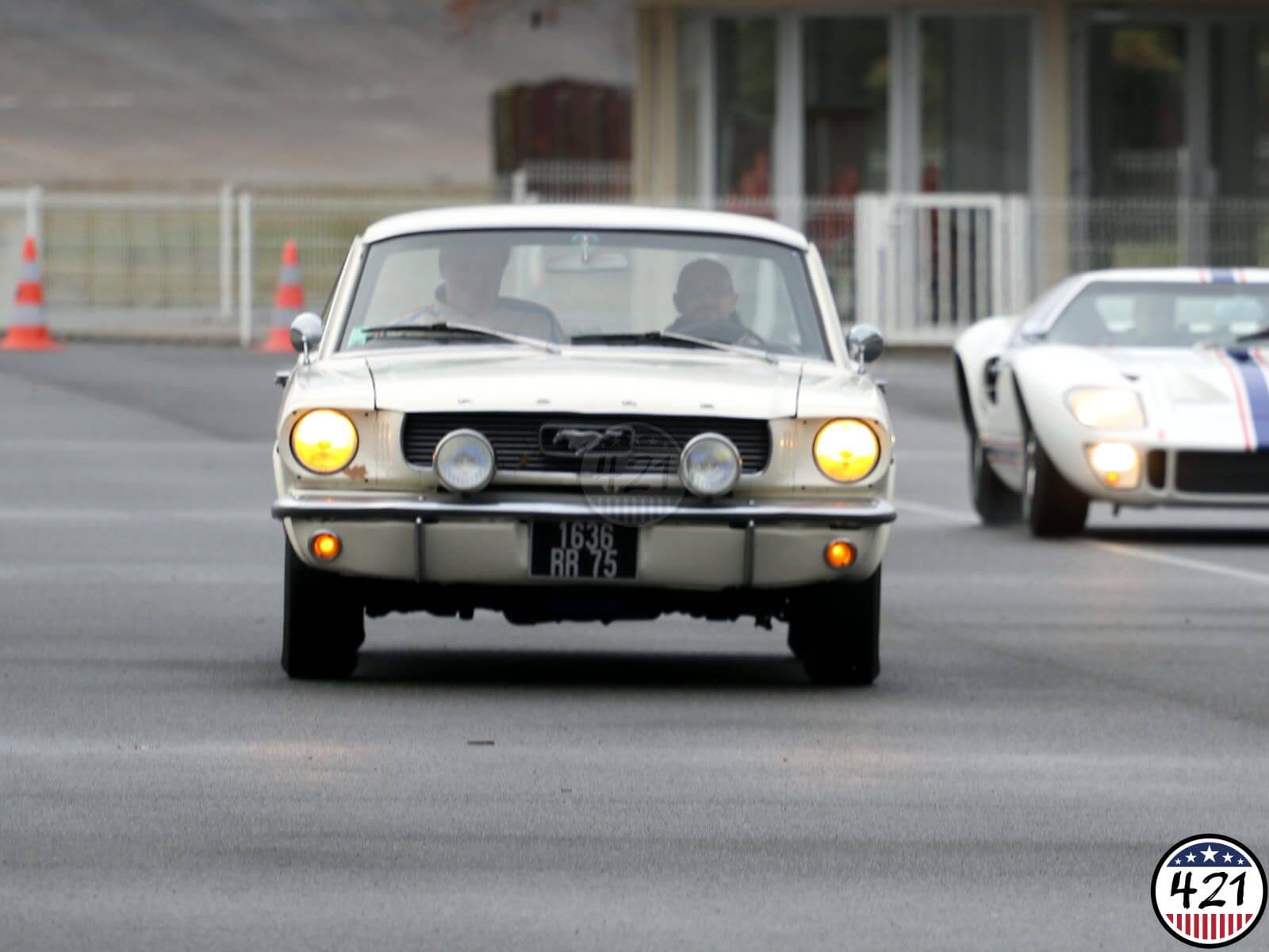Mustang 184 Mustang 184