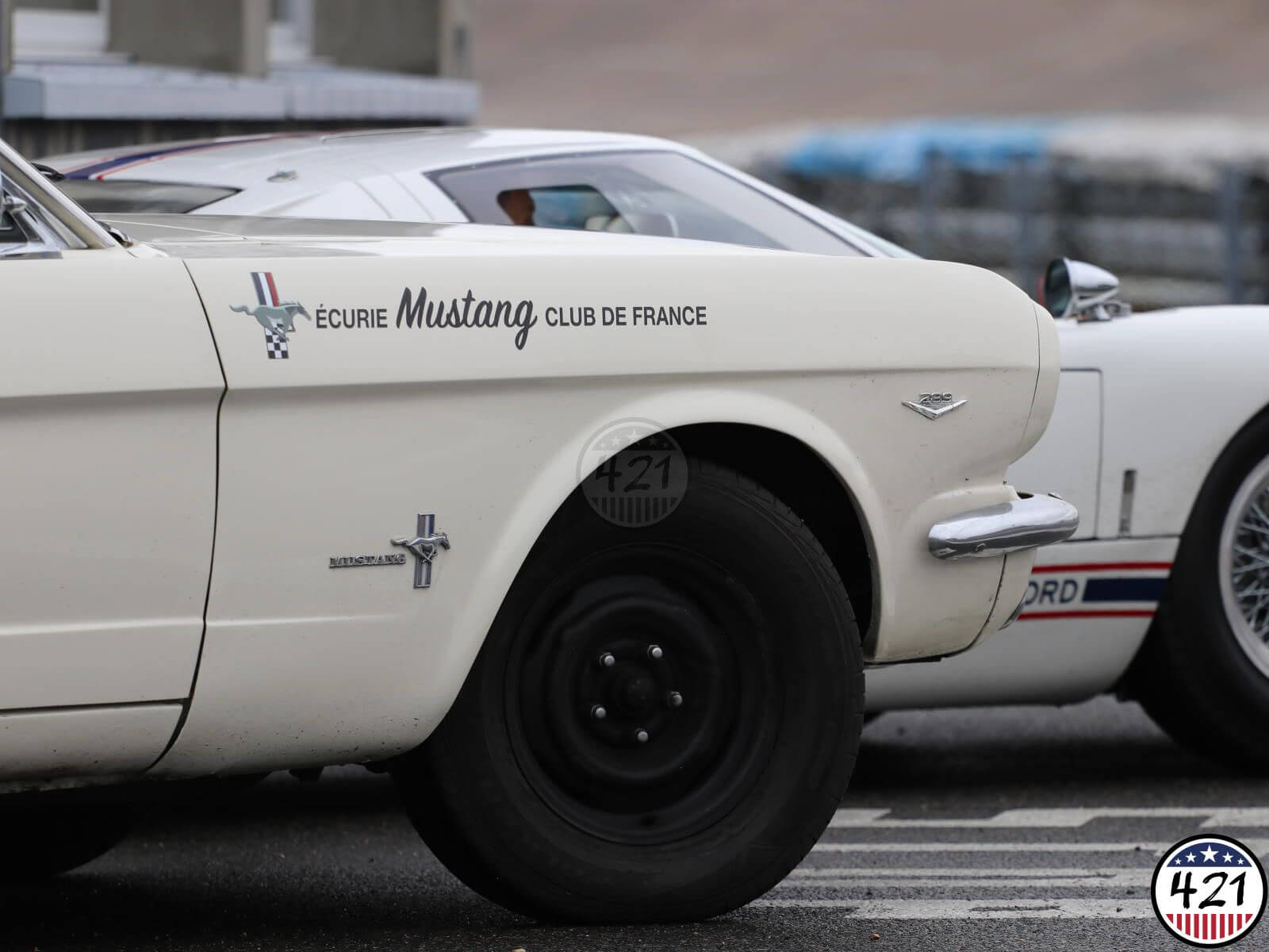 Mustang 184 Mustang 184