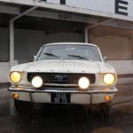 Mustang 184