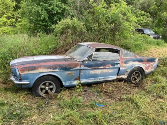 1966 Shelby GT350