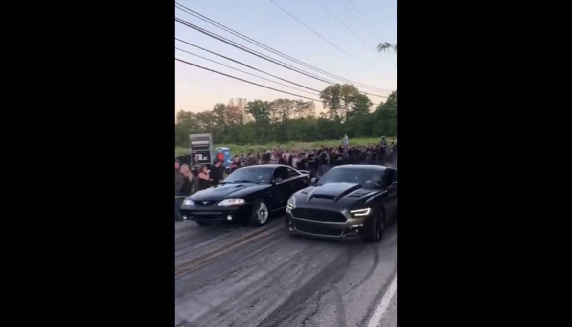 Mustang vs Mustang