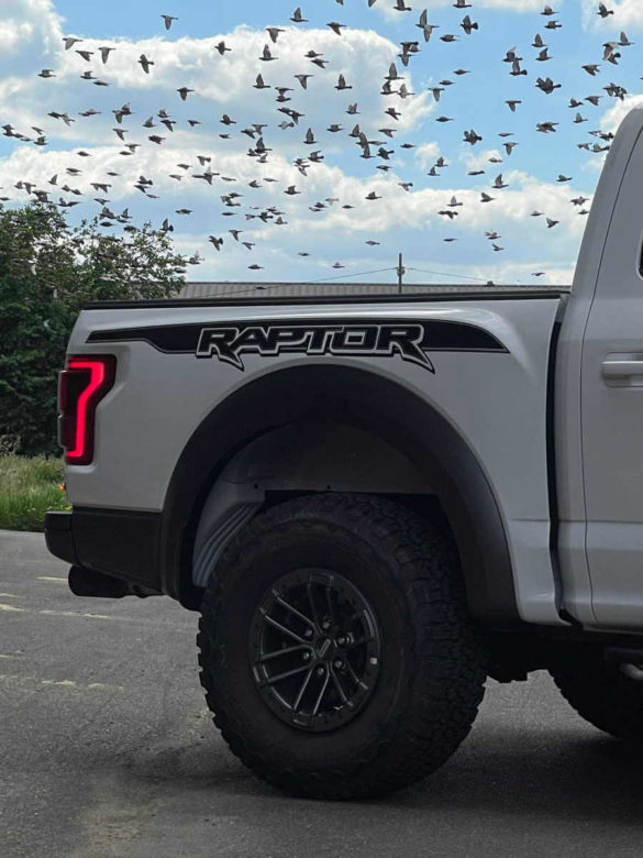 Ford Raptor 2019